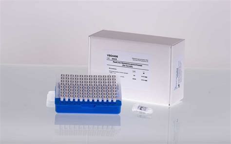 n gonorrhoeae real time pcr